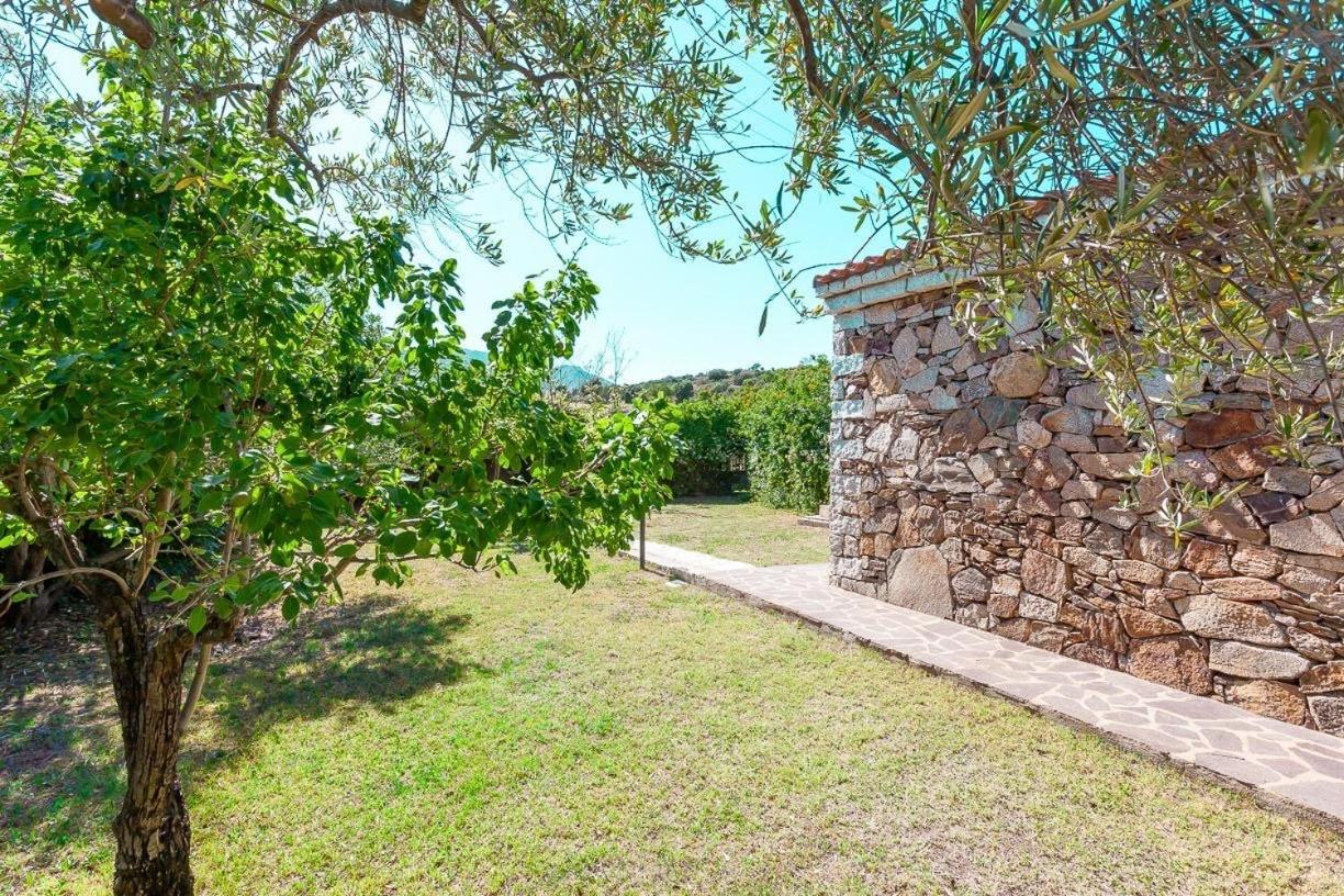 סאן תאודורו B&B Pettirosso Garden מראה חיצוני תמונה