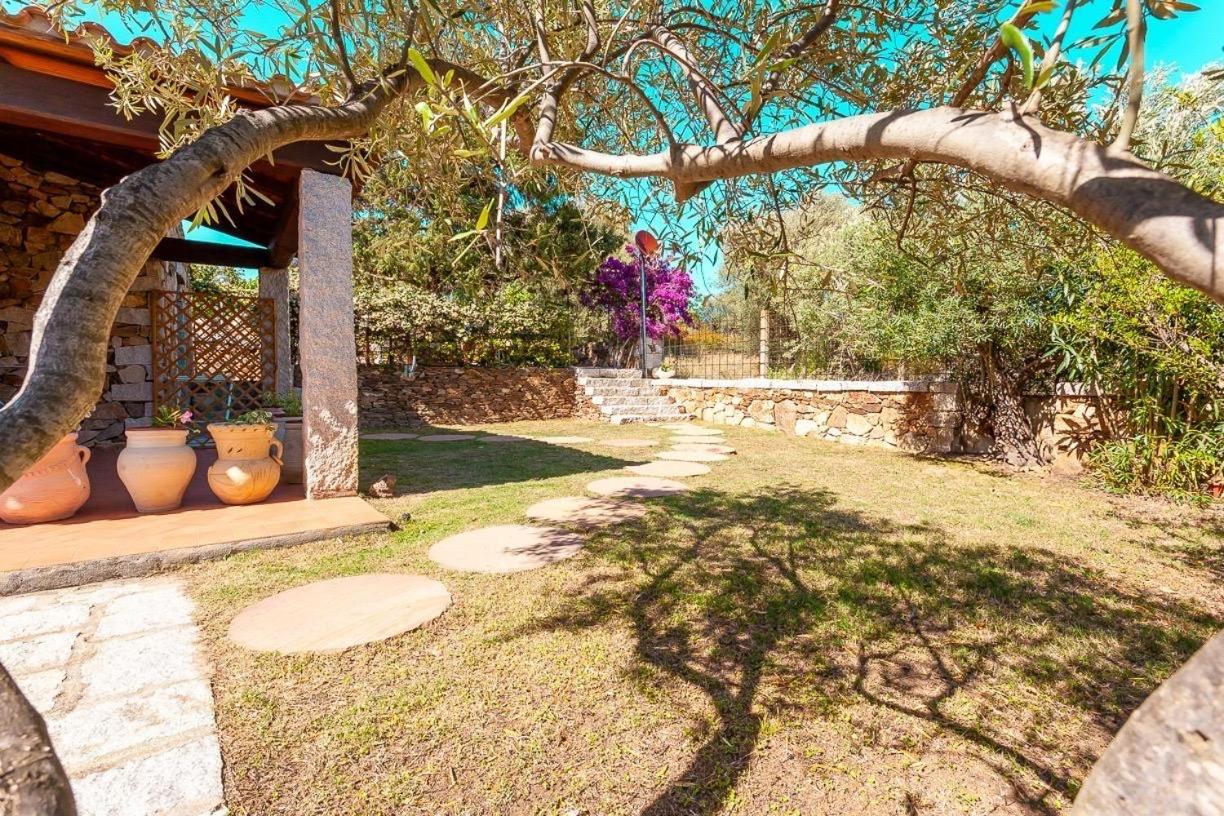 סאן תאודורו B&B Pettirosso Garden מראה חיצוני תמונה