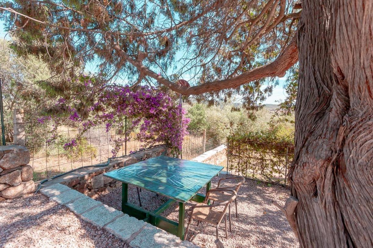 סאן תאודורו B&B Pettirosso Garden מראה חיצוני תמונה