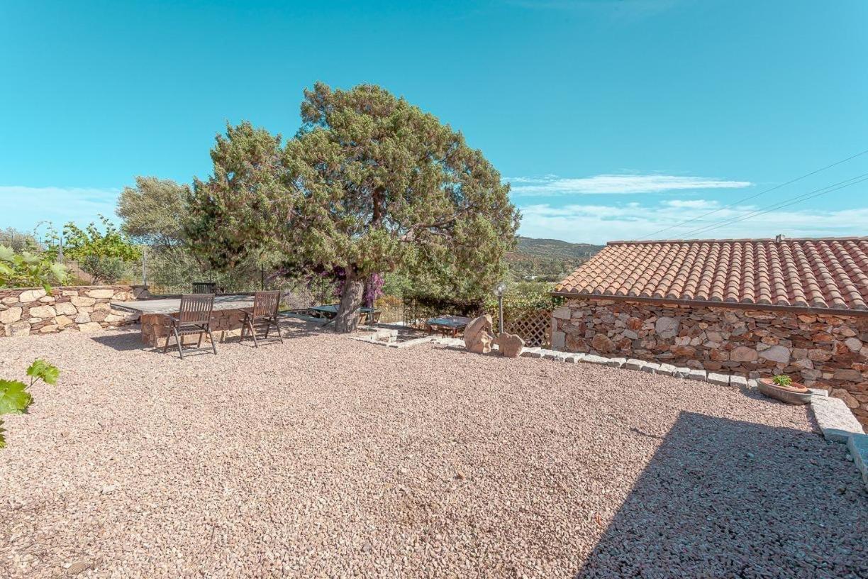 סאן תאודורו B&B Pettirosso Garden מראה חיצוני תמונה